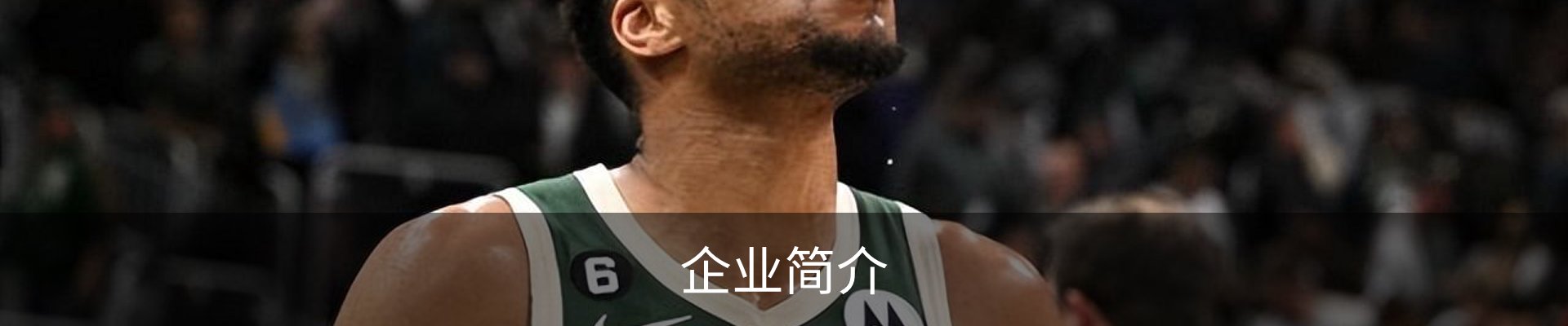 企业简介