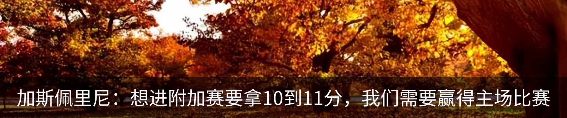 最新动态